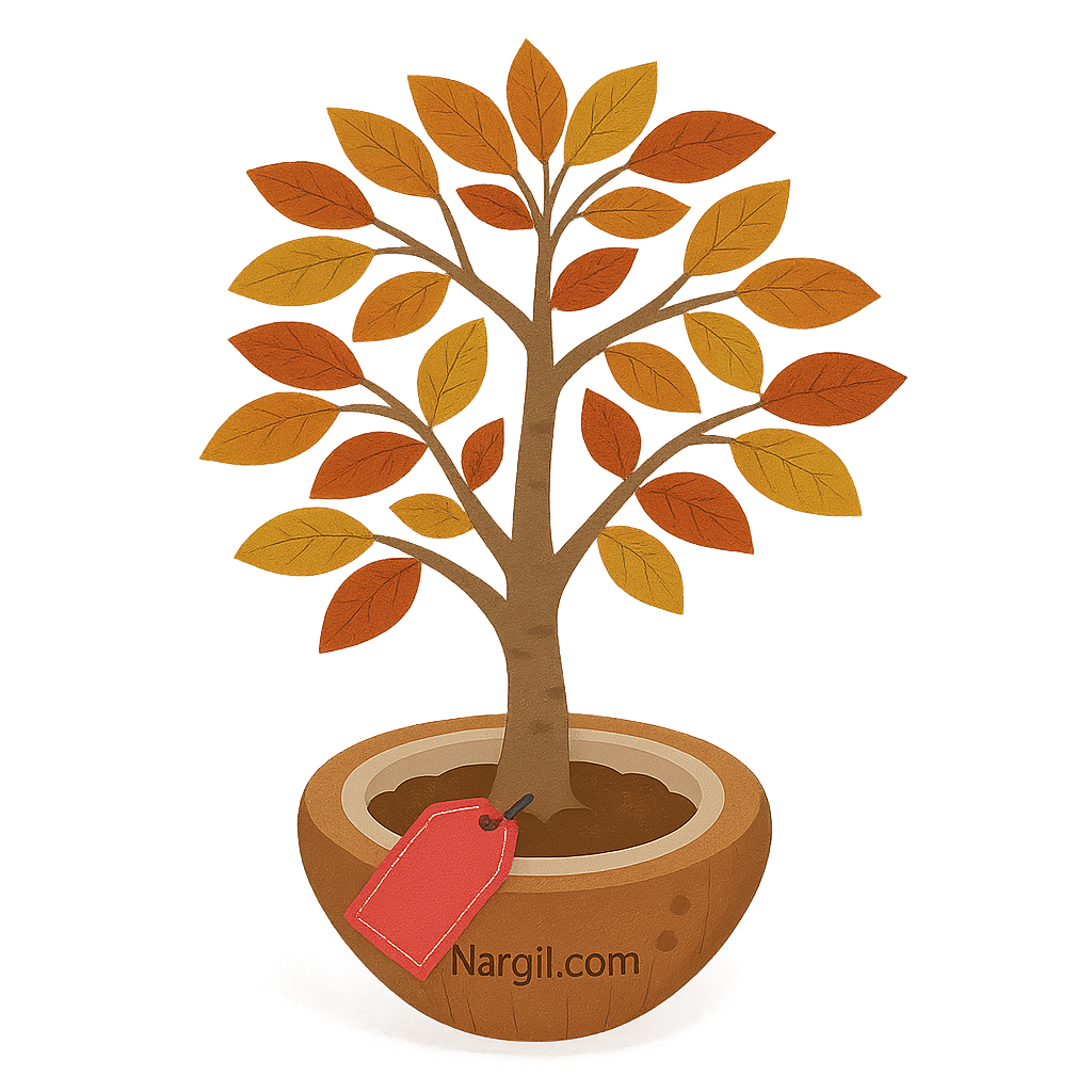  Nargil - Japanese zelkova